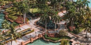 aerial-photo-of-palm-trees-2598635