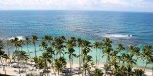 green-palm-trees-near-body-of-water-1030322 green-palm-trees-near-body-of-water-1030322