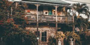 photo-of-brown-wooden-house-surrounded-with-trees-and-plants-2675891