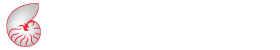 light logo